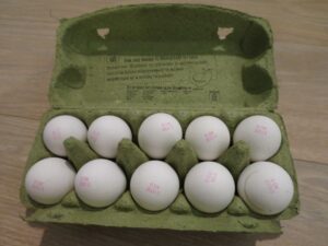 オランダの卵
