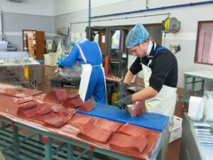 オランダの水産加工会社、北海水産加工の様子