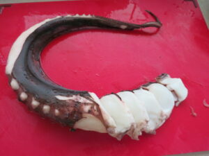 アムステルフェーン金曜マーケットの魚屋で買ったタコ足