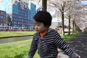 アムステルフェーン中心部の桜並木