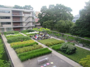 アムステルフェーンの中心にある筆者が住んでいたアパートの中庭